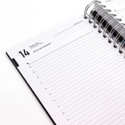 Agenda Diária 2025