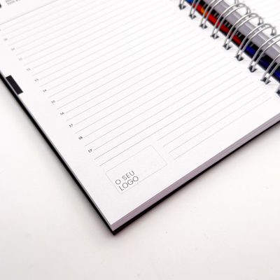 Agenda Diária 2025